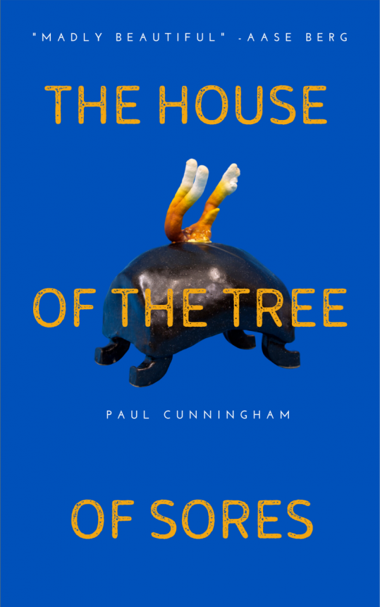 Cunningham Book Cover
