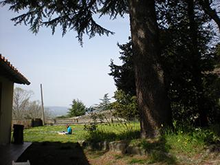 Lawn at Cortona