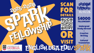 2025-2026 Spark Fellowship
