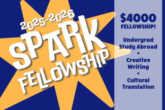 2025-2026 Spark Fellowship